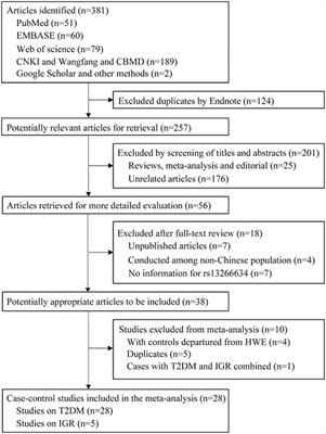 Association Between SLC30A8 rs13266634 Polymorphism and Risk of T2DM and IGR in Chinese Population: A Systematic Review and Meta-Analysis